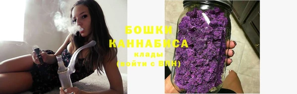 дживик Осинники